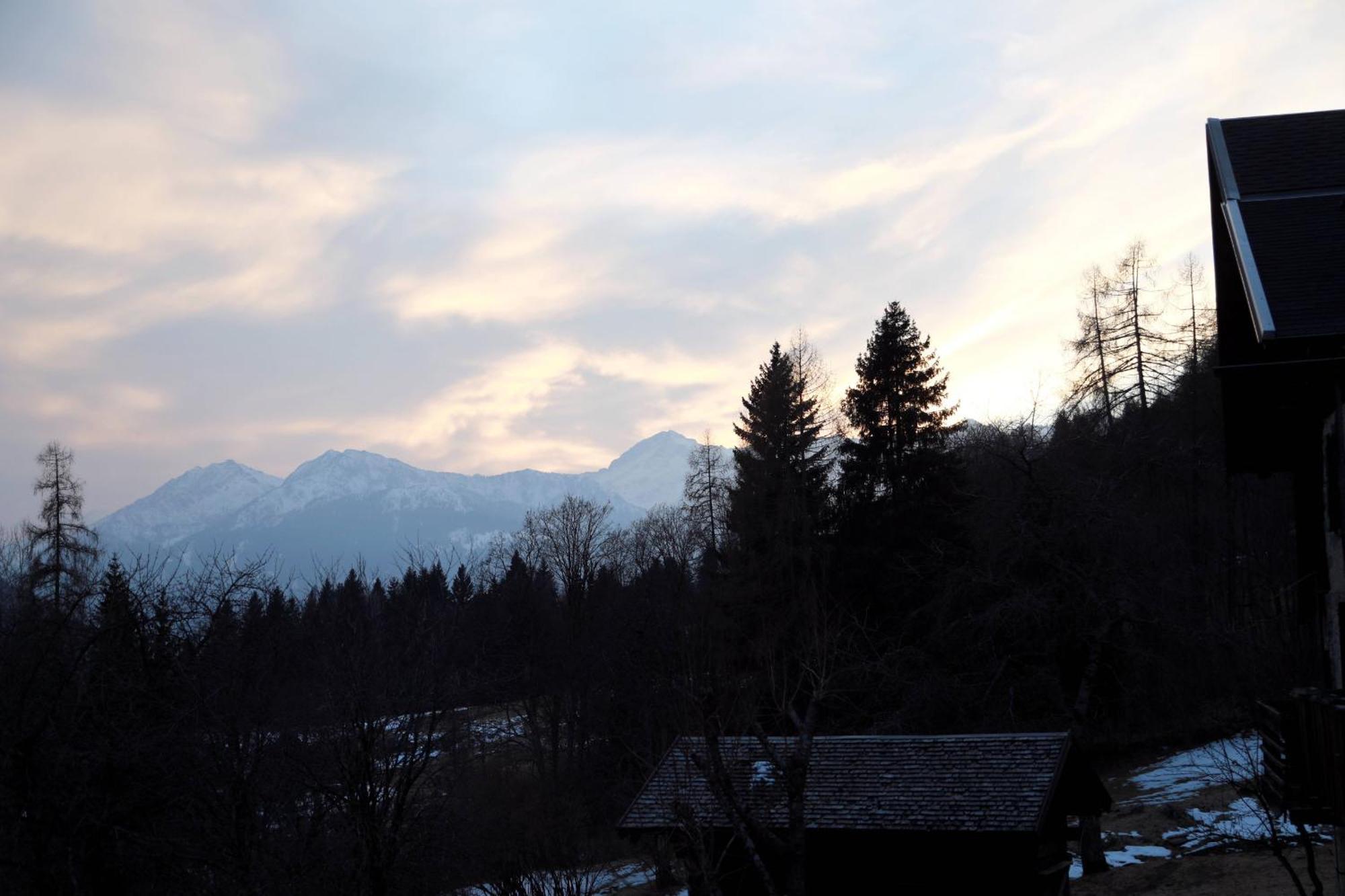Villa Alpina Campiglio Madonna Extérieur photo