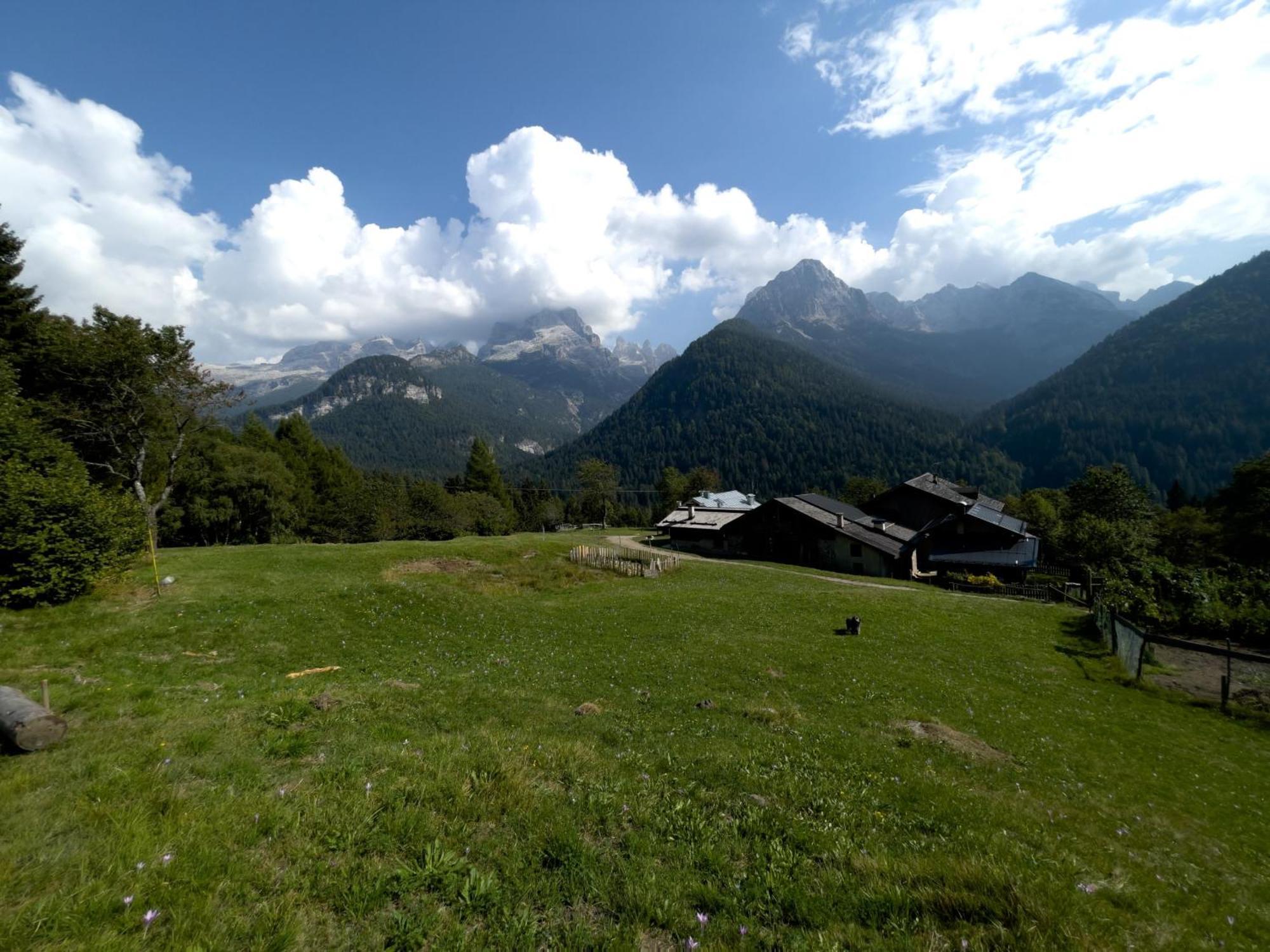 Villa Alpina Campiglio Madonna Extérieur photo
