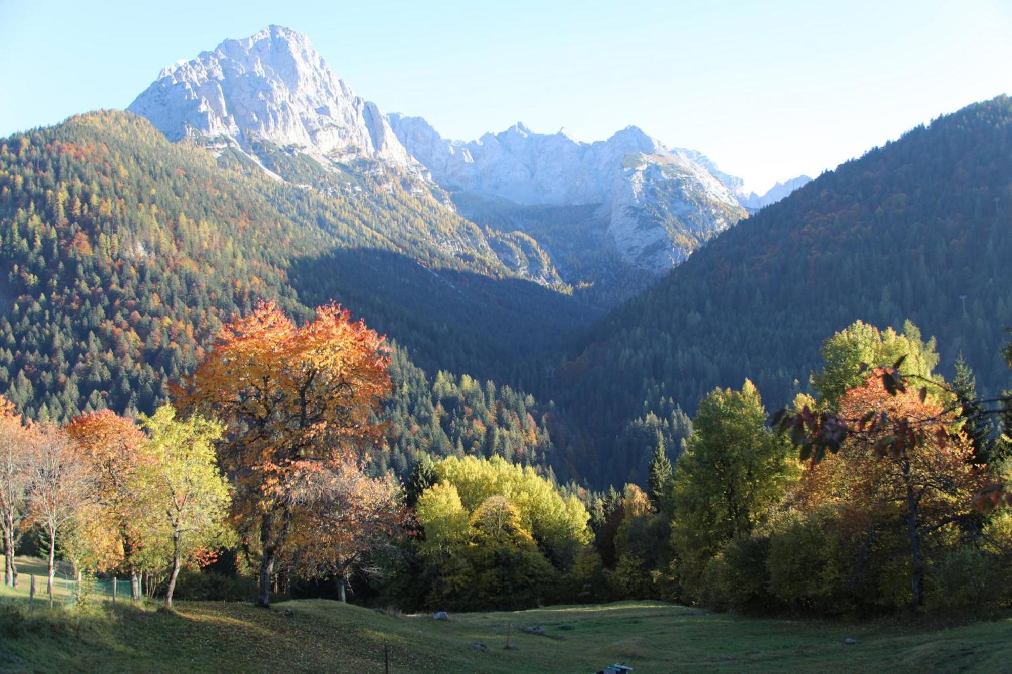 Villa Alpina Campiglio Madonna Extérieur photo