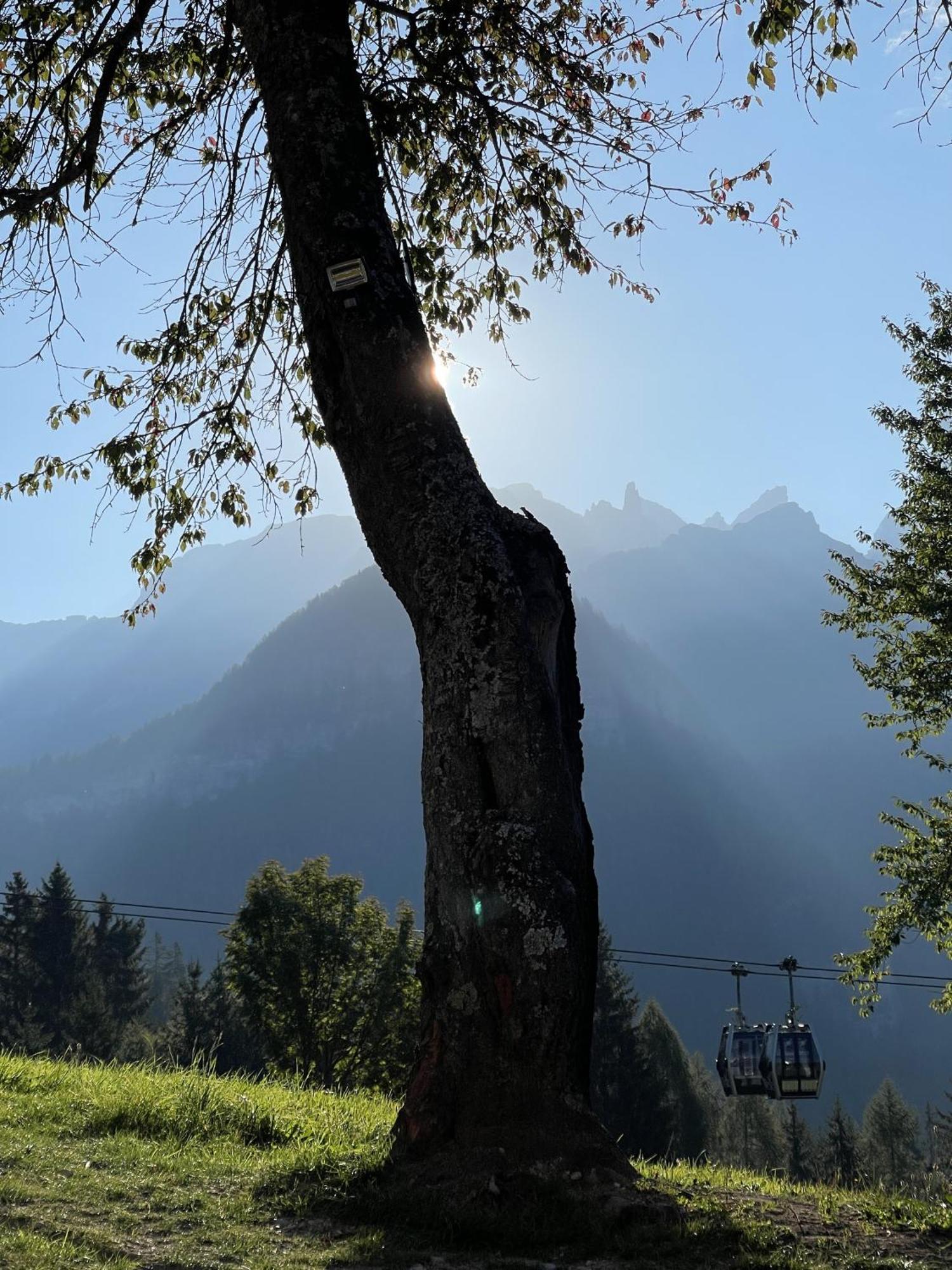 Villa Alpina Campiglio Madonna Extérieur photo