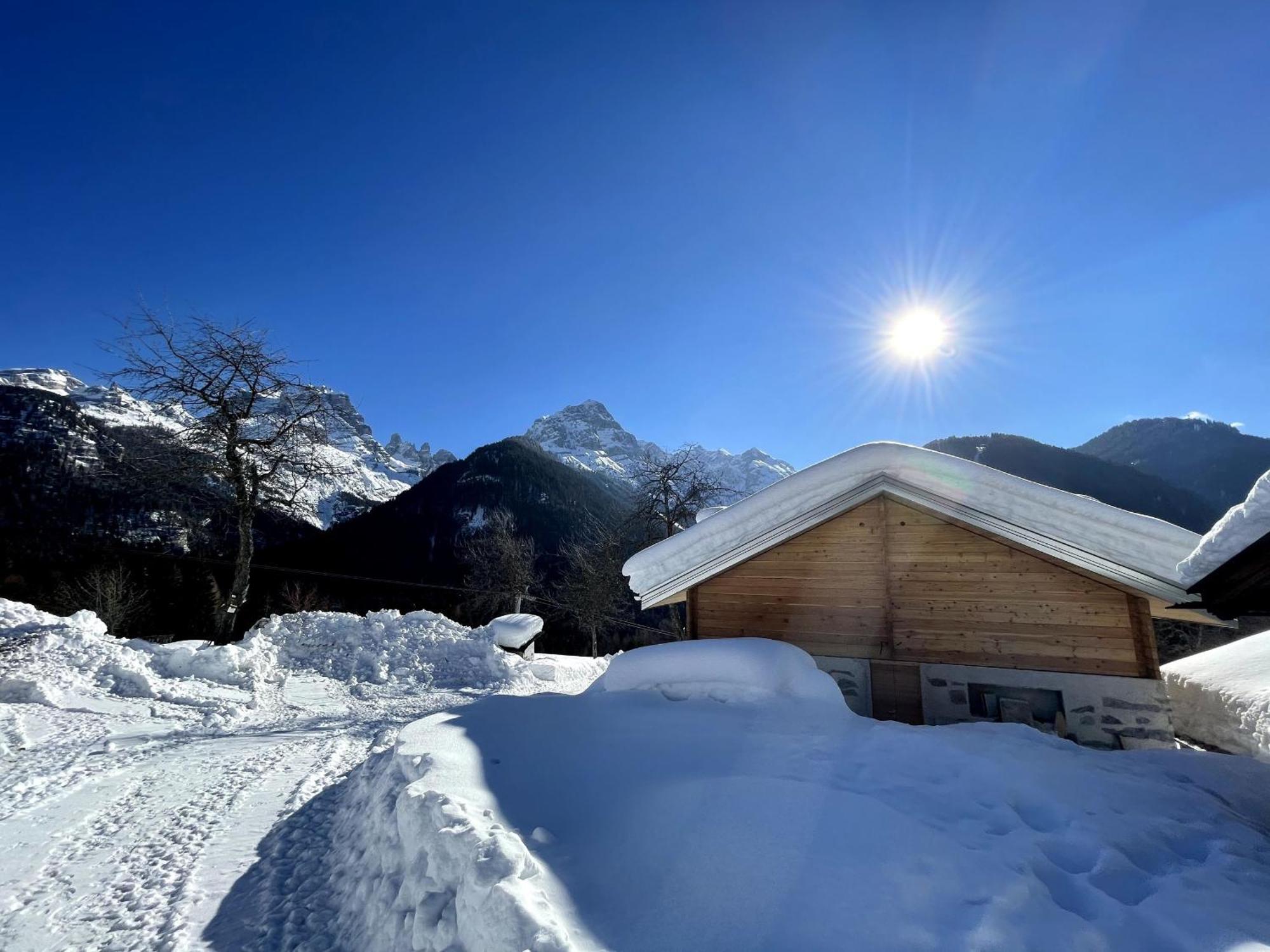Villa Alpina Campiglio Madonna Extérieur photo