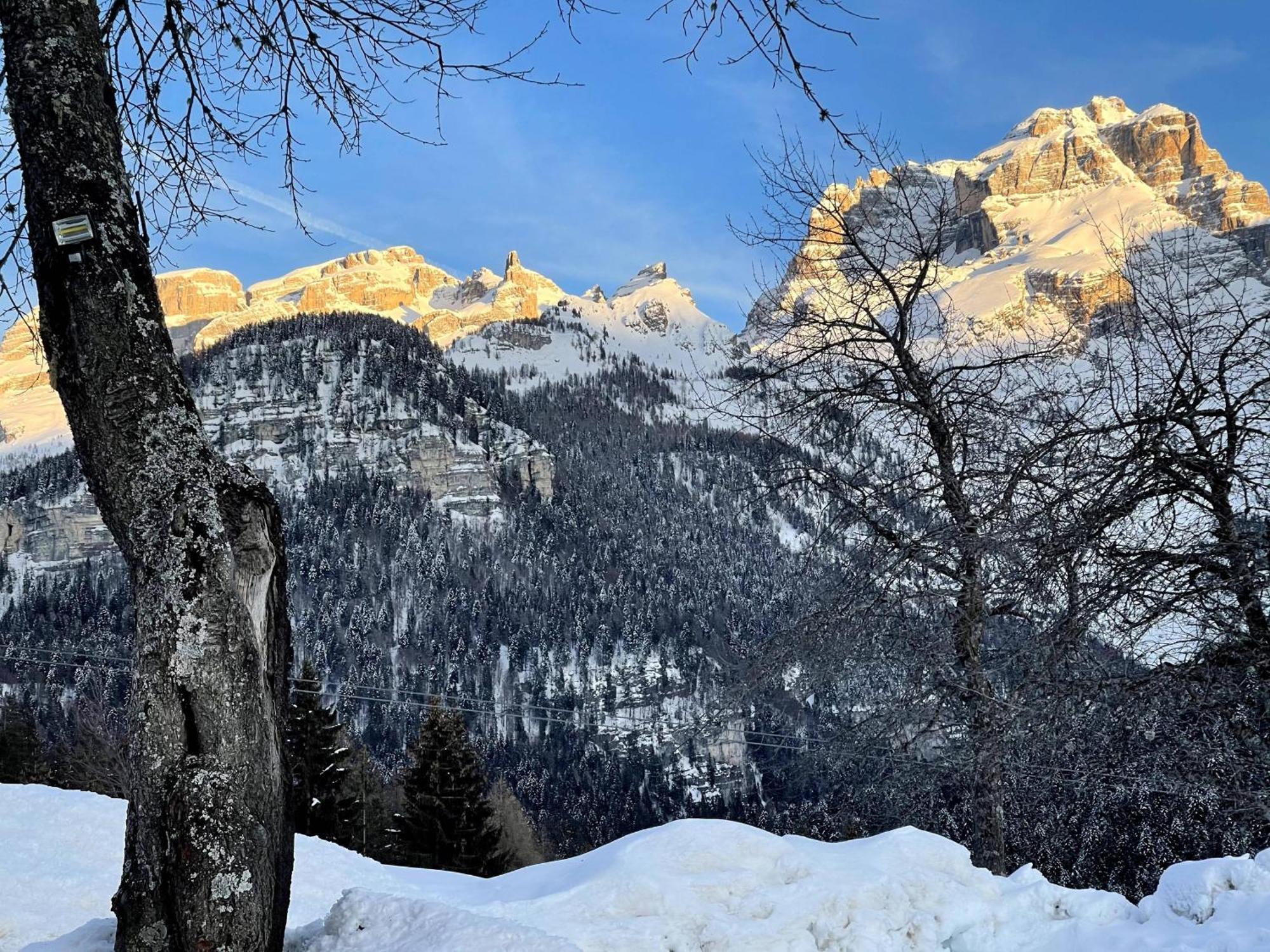 Villa Alpina Campiglio Madonna Extérieur photo