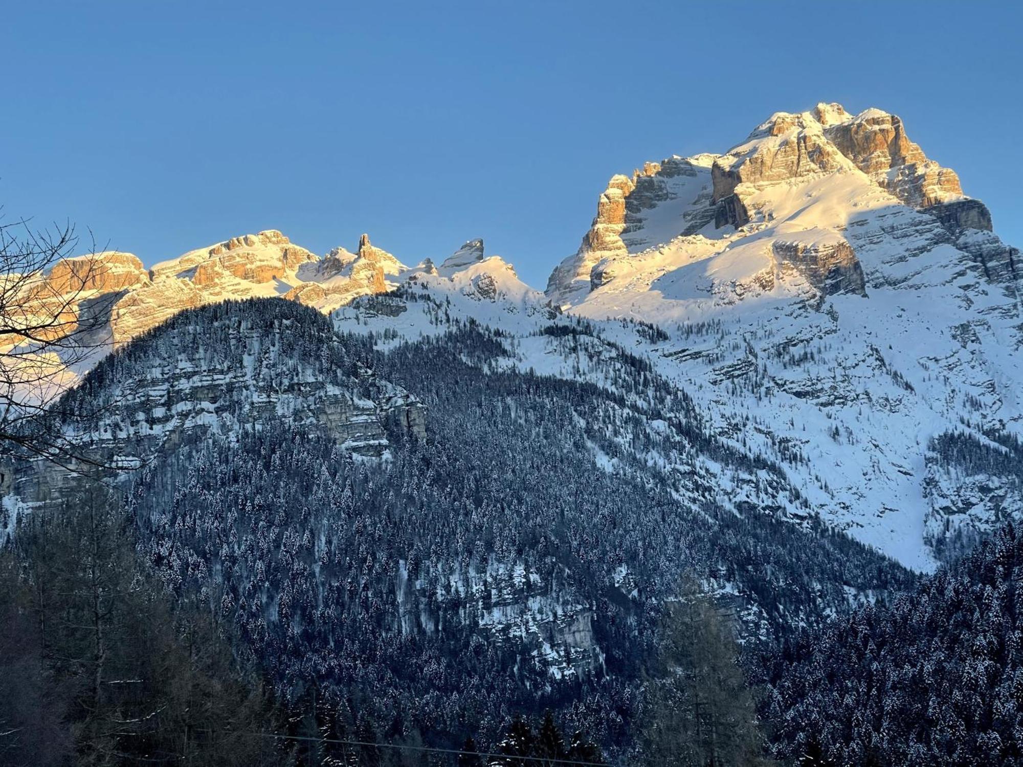 Villa Alpina Campiglio Madonna Extérieur photo