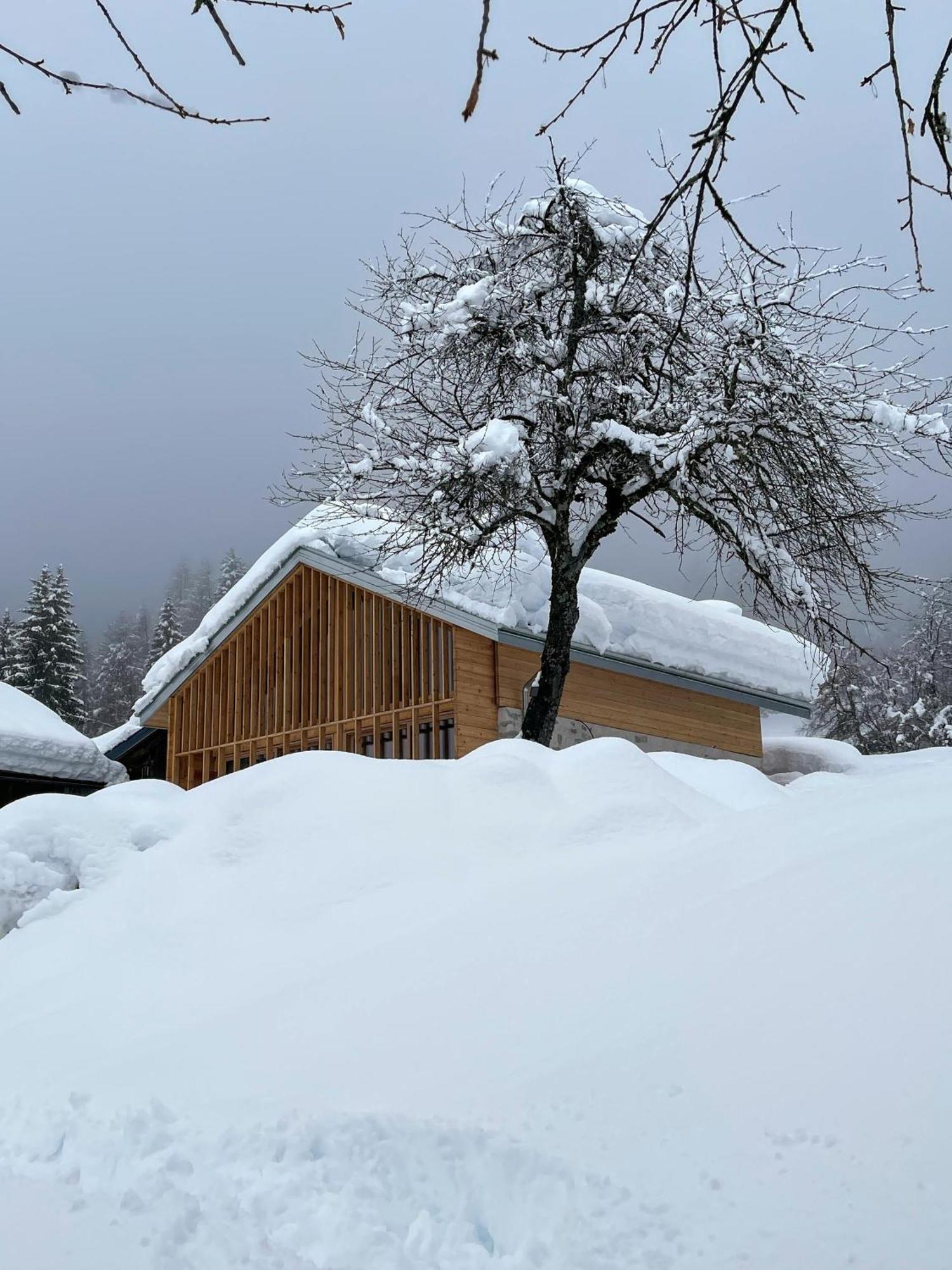 Villa Alpina Campiglio Madonna Extérieur photo