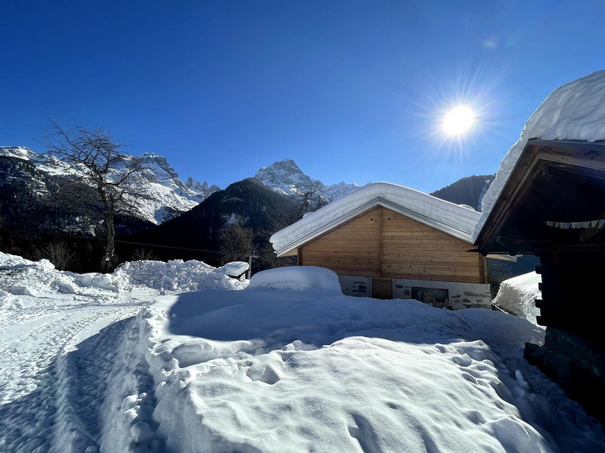 Villa Alpina Campiglio Madonna Extérieur photo